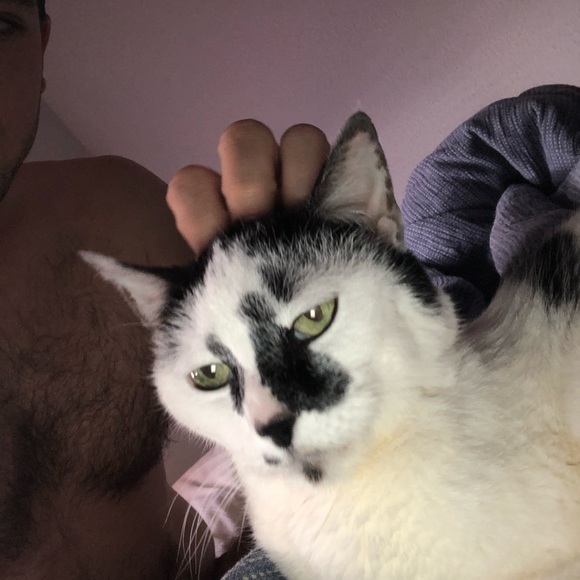 mrfoo